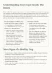cover-Natural-Remedies-for-Common-Dog-Health-Issues