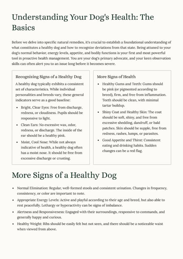 Natural Remedies for Common Dog Health Issues