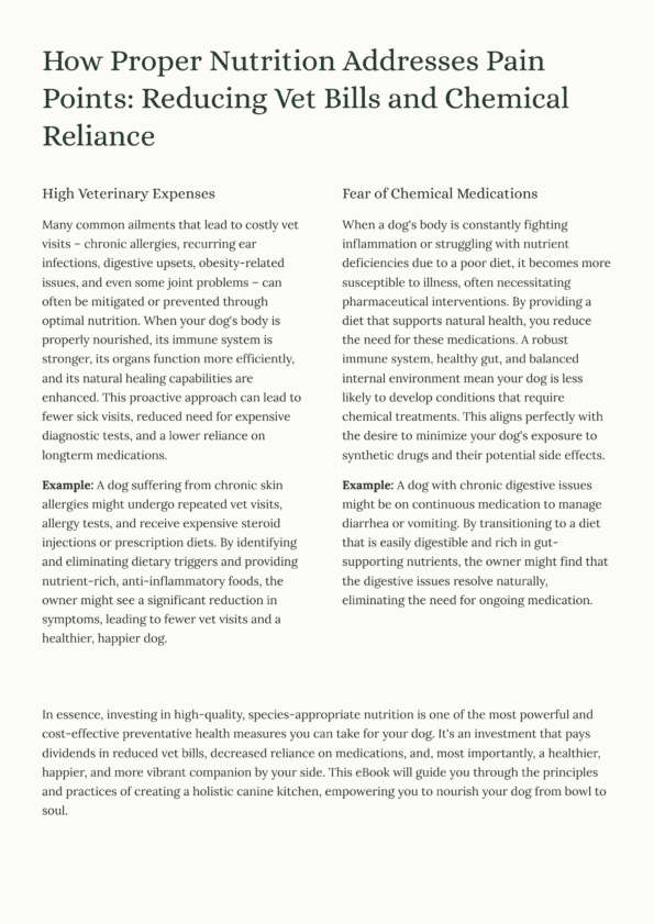 Natural Remedies for Common Dog Health Issues
