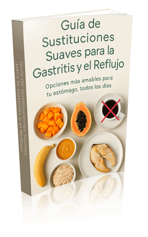 ebook Guía de Sustituciones Suaves para la Gastritis y el Reflujo